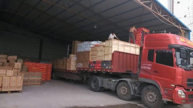 副食品批发：如何在竞争激烈的市场中脱颖而出
